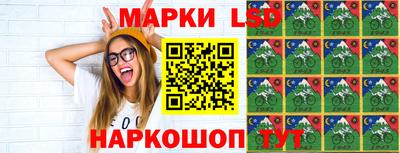 СК Гатчина