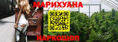 СК Гатчина