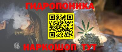 СК Гатчина