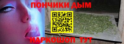 СК Гатчина