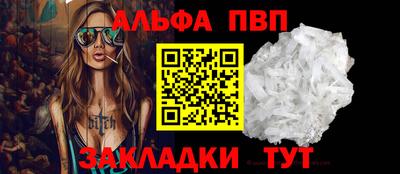 СК Гатчина