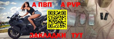 СК Гатчина