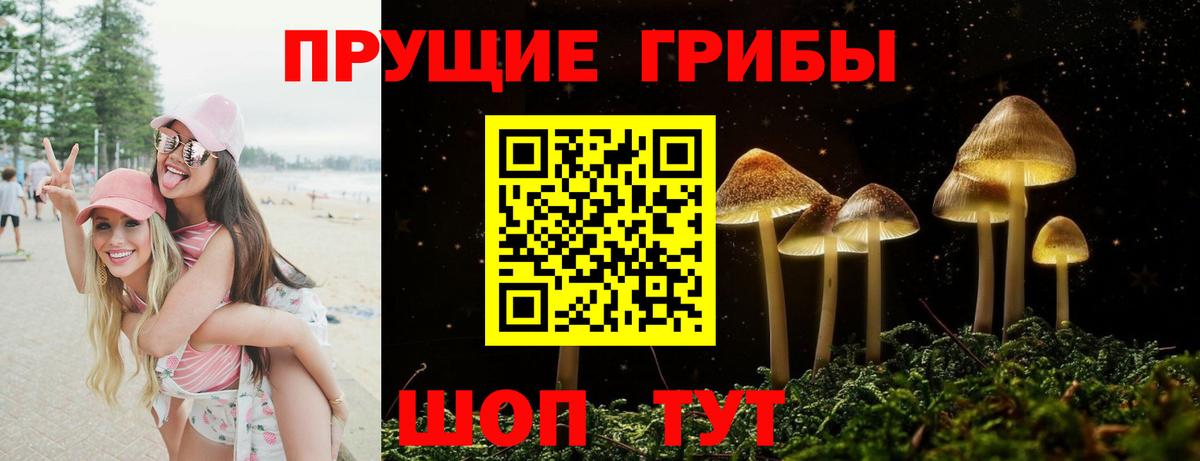 Шелехов  Псилоцибиновые грибы Psilocybine cubensis  Вход с VPN 